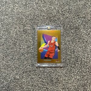 Heat Tyler Herro SSP /50